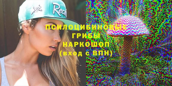 стаф Балахна