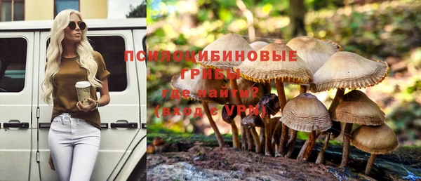 прущие крисы Баксан