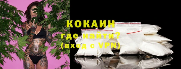 стаф Балахна