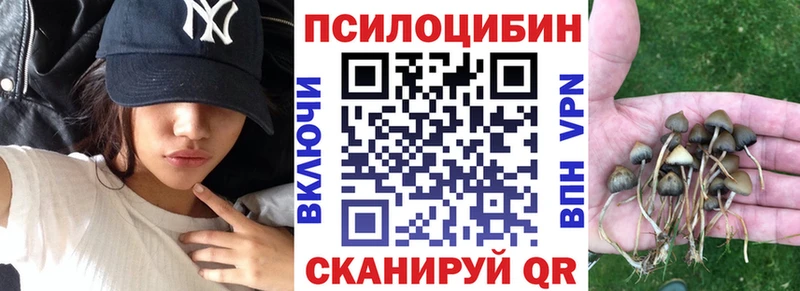 сколько стоит  Удачный  Псилоцибиновые грибы мухоморы 