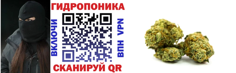магазин    Удачный  Канабис планчик 